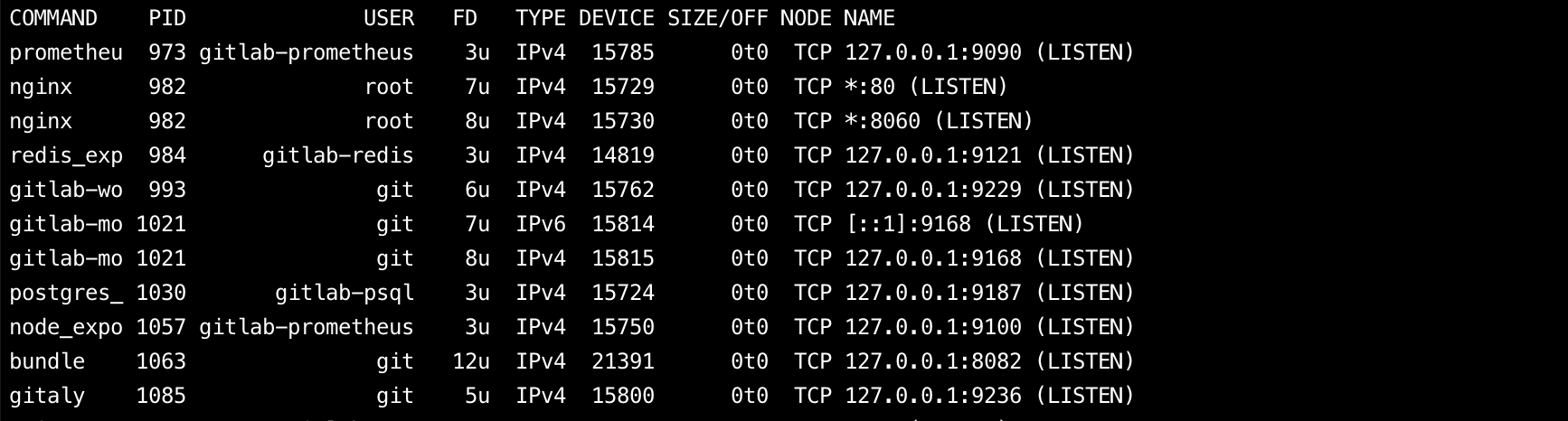 Checking Listening Ports and Services in Use（netstat,ss,lsof）