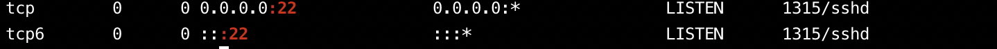 Checking Listening Ports and Services in Use（netstat,ss,lsof）